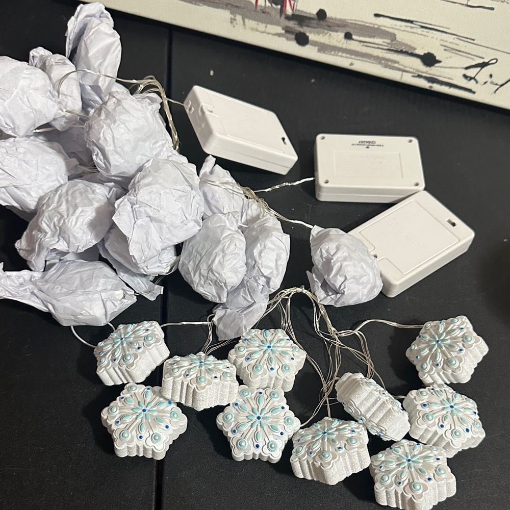 Hallmark snowflake 2023 10 string lights